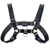 Harnesses